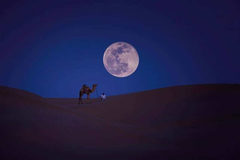 Doha: Beaches visit with Dune Bashing and SandBoarding - An Overview of the Experience