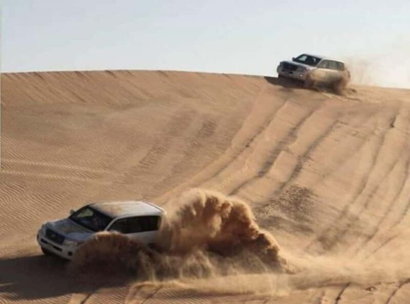 Doha: Budget Friendly Desert Safari,CamelRide & Sandboarding - Who Will Enjoy This Tour?
