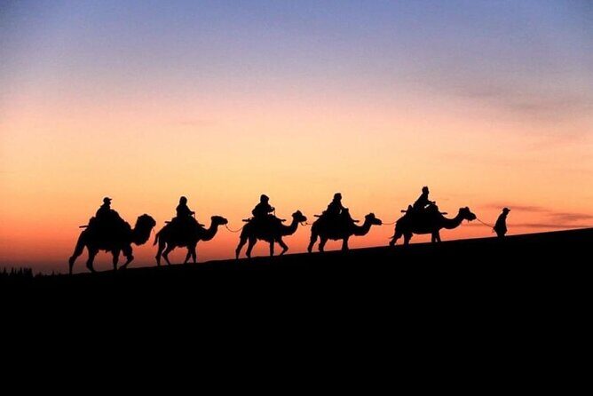 Doha City and Desert Safari Tours (Combo Tour) - Frequently Asked Questions