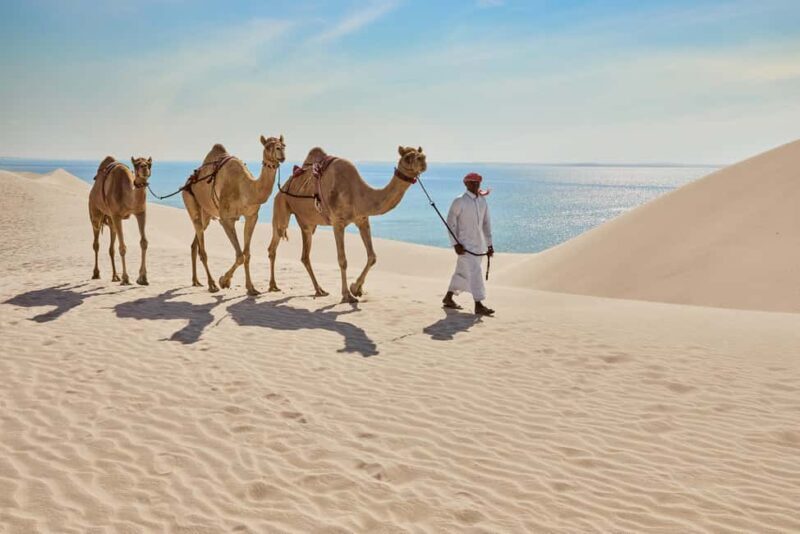 Doha City Tour+Desert Safari Combo with Inland Sea Adventure - Final Thoughts