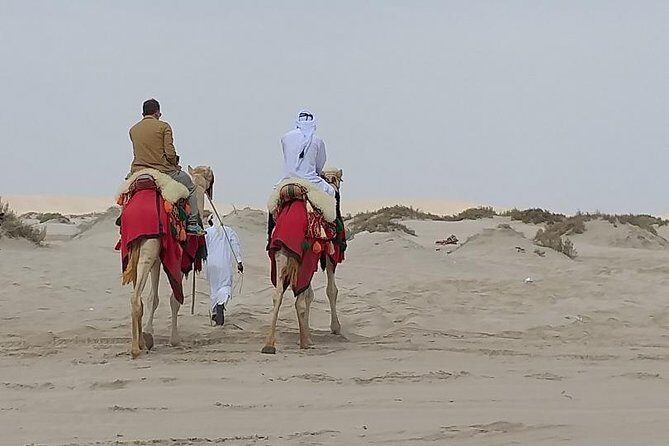 Doha Combo City And Half Day Desert Safari Tour No Hidden cost - What’s Included and What to Expect