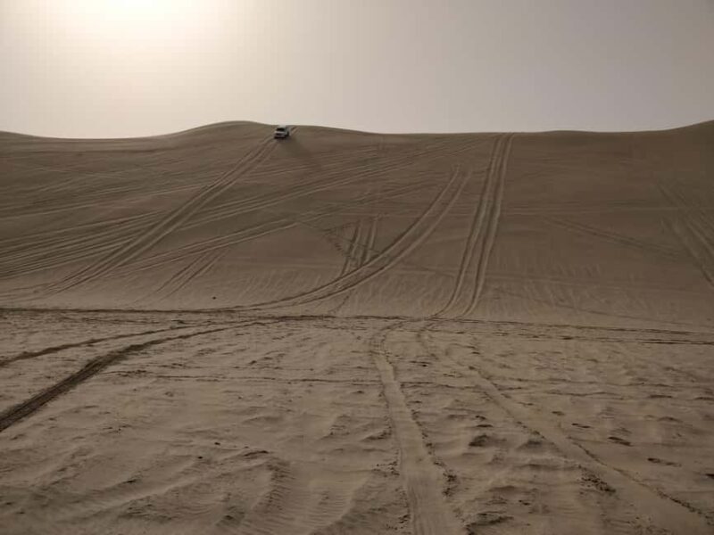 Doha: Combo Private & Sharing Tour of Desert Safari ATV Ride - A Complete Look at the Tour Experience