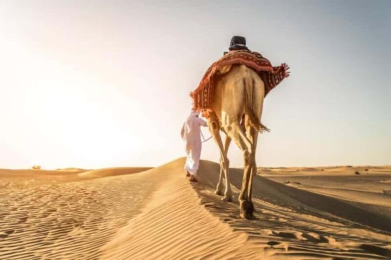 Doha: Combo Tour City Tour & Desert Safari Tour - Practical Details & Traveler Tips