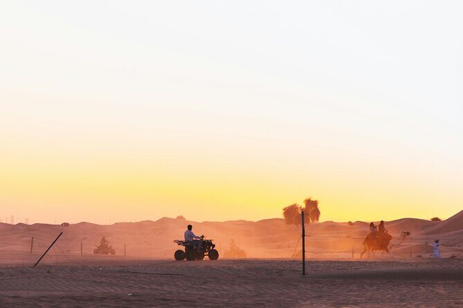 Doha Delights City Tour with Desert Safari and Inland Sea Visit - FAQs