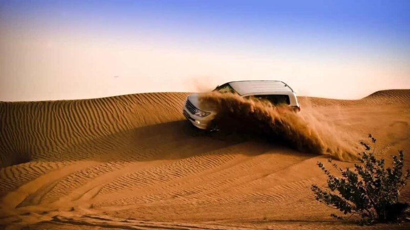 Doha Desert Excursion, Camel Ride, Inland sea, Sandboarding - Key Points
