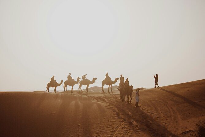 Doha Desert Excursion Dune Bashing Sandboarding Camel Ride - Final Thoughts: Is It Worth It?