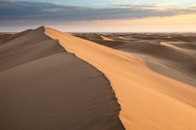 Doha Desert Quad Bike adventure with group, and Sand dune Driving - What Makes This Tour a Great Value?