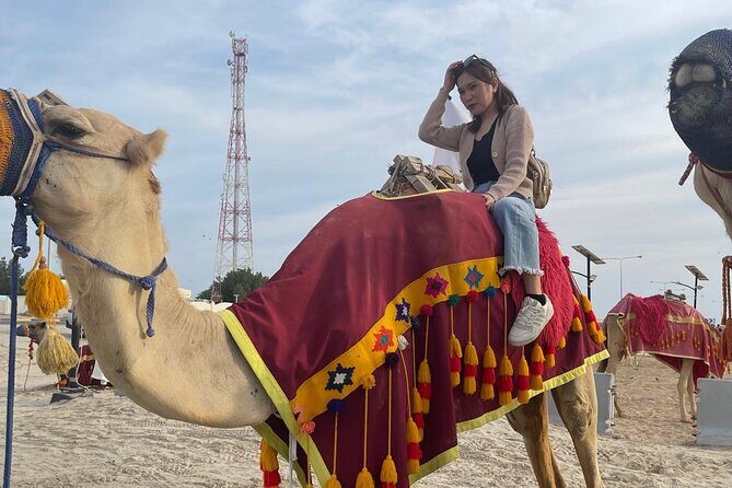 Doha Desert Safari Camel Ride Dune Bashing and ATV Bike - Price and Value