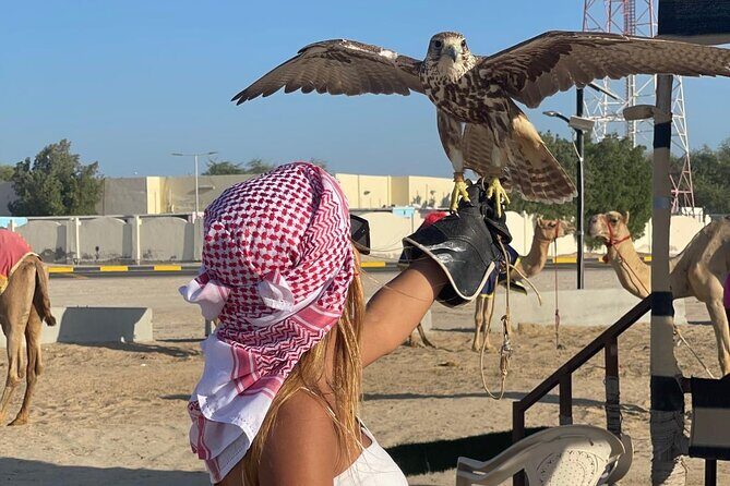 Doha Desert Safari Camel Ride Dune Bashing and ATV Bike - The Sum Up