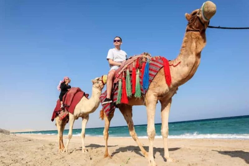 Doha Desert Safari, Camel Ride, Sandboarding & Inland Sea - Key Points