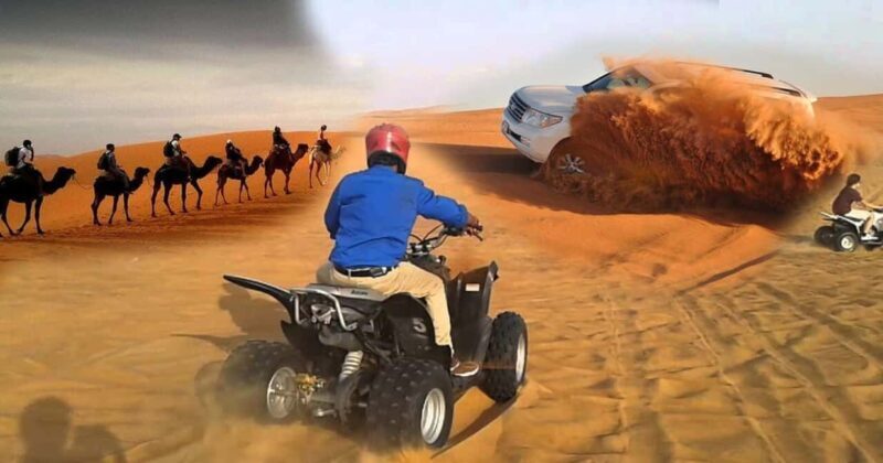 Doha Desert Safari, Camel Ride, Sandboarding & Inland Sea - A Detailed Look at the Experience