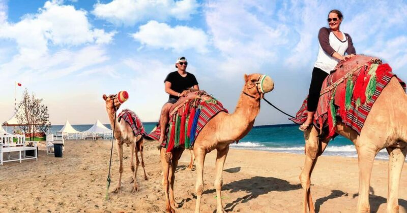 Doha Desert Safari, Camel Ride, Sandboarding & Inland Sea - Who Is This Tour Best For?