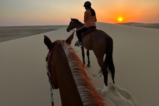 Doha Desert Safari Horse Riding, Camel Ride, ATVs & Inland Sea - Key Points