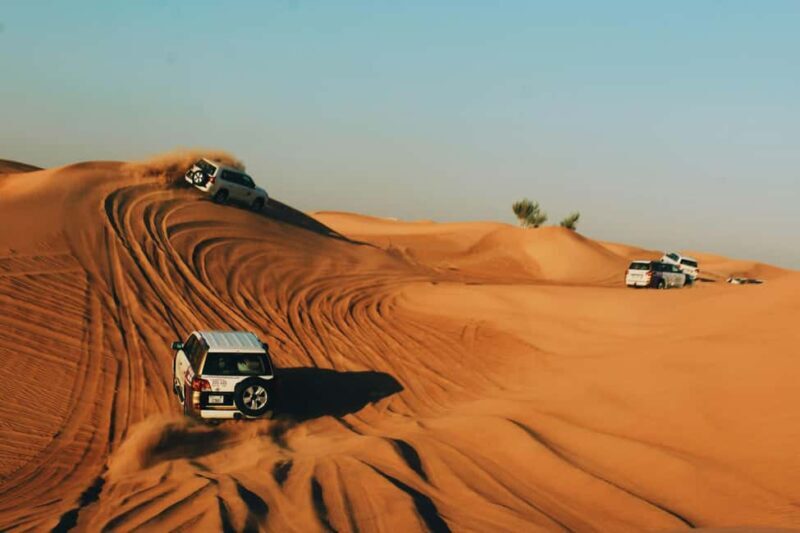 Doha: Desert Safari, Inland Sea, Camel Ride, Sandboarding - Who is This Tour Best For?