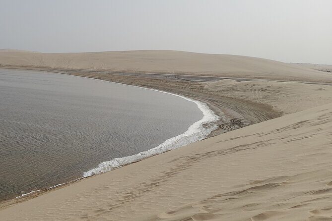 Doha: Desert Safari (Private Tour) with Pick Up & Drop Off - An Honest Look at the Doha Desert Safari Experience
