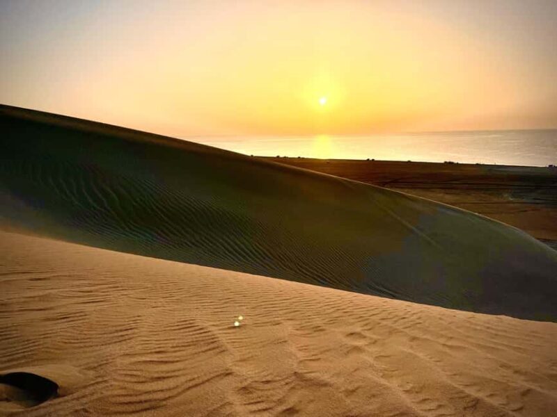 Doha: Desert Safari Sunrise Tour/Sunset Tour - Key Points