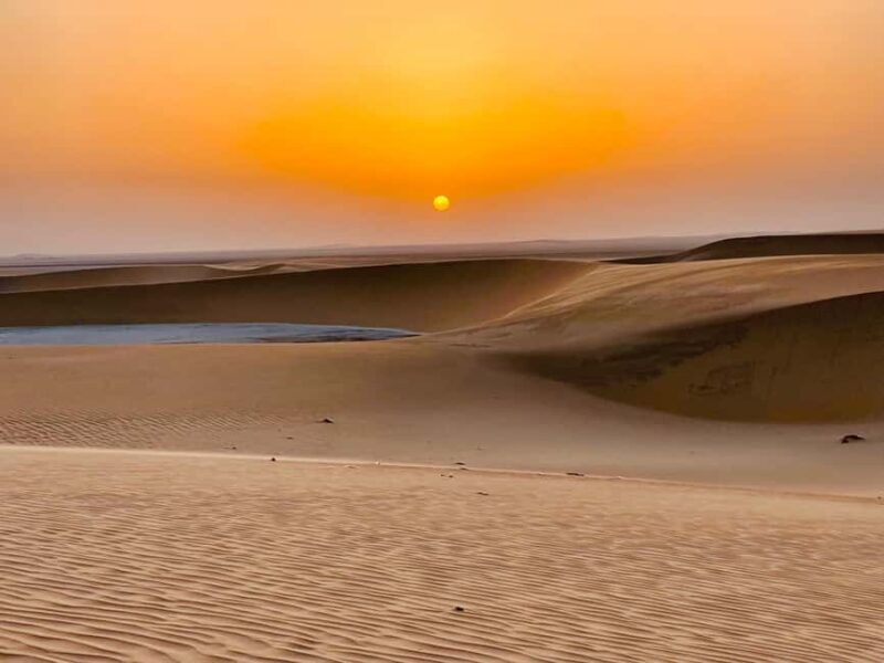Doha: Desert Safari Sunrise Tour/Sunset Tour - Exploring the Doha Desert Safari Experience