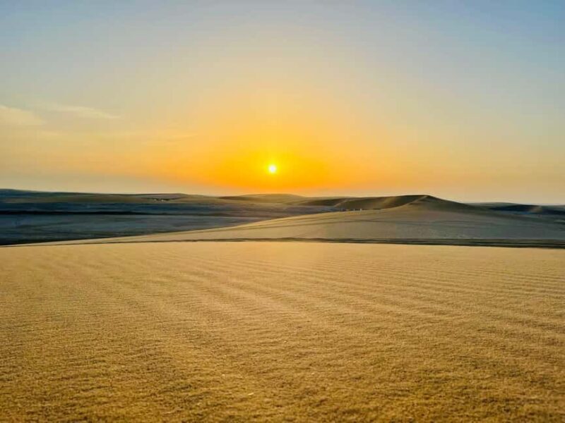 Doha: Desert Safari Sunrise Tour/Sunset Tour - Authentic Insights from Reviewers