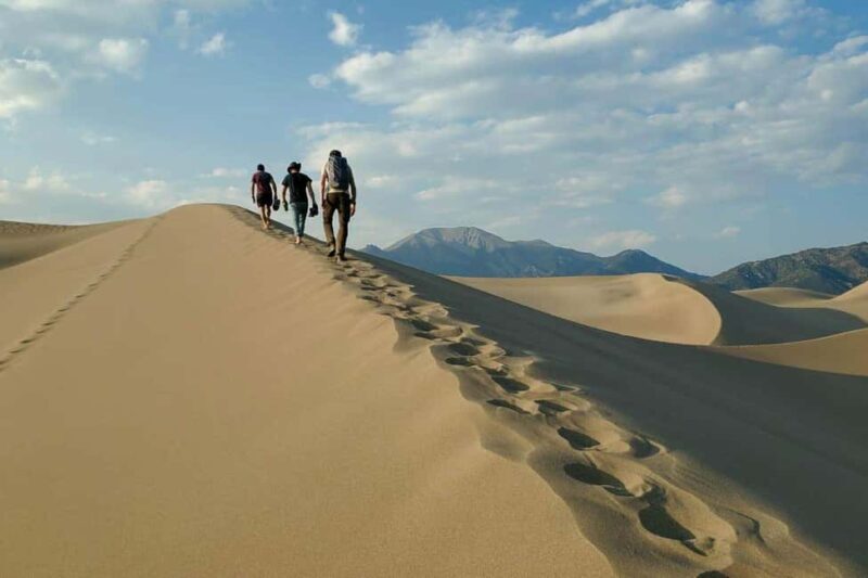 Doha: Desert Safari tour, Camel, Dune Bashing & Sandboarding - Key Points