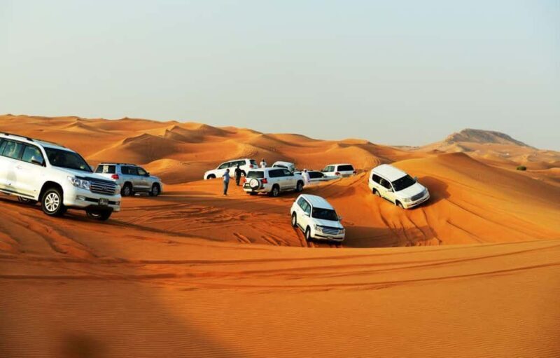 Doha: Desert Safari with Camel Ride Family Friendly Tour - An Overview of the Tour Experience