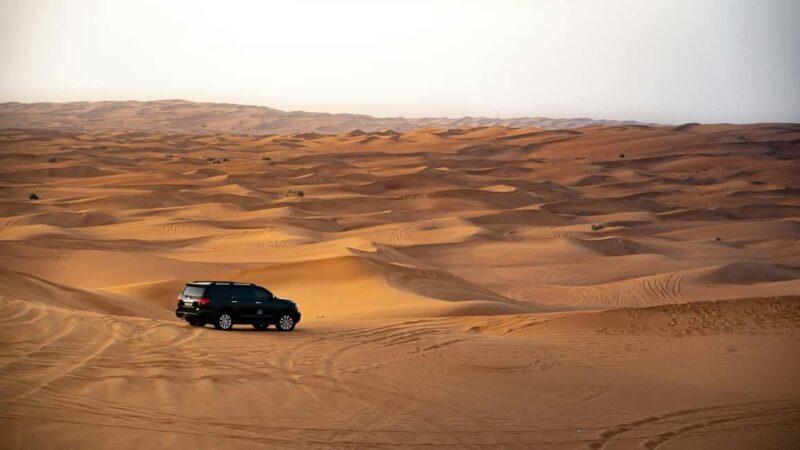 Doha: Desert Safari with Dune Bashing & Camel Ride - Practical Tips for Your Desert Safari