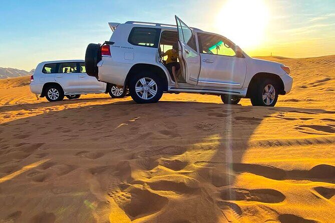 Doha: Escape to Eternity, Relaxing Desert Wonders with Camel Ride - Detailed Review of the Tour Experience