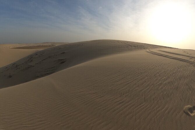 Doha: Escape to Eternity, Relaxing Desert Wonders with Camel Ride - Final Thoughts