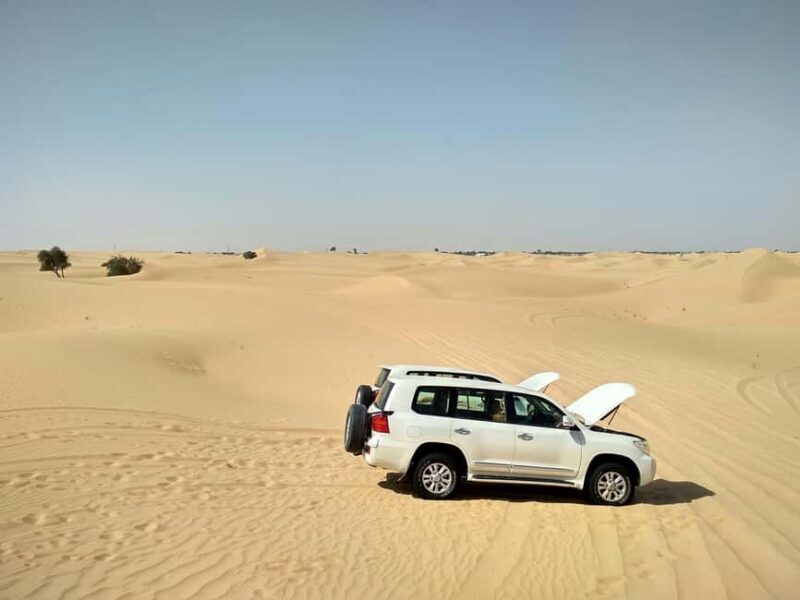 Doha: Full-Day Desert Safari with Lunch/Dinner, Camel Ride - Key Points