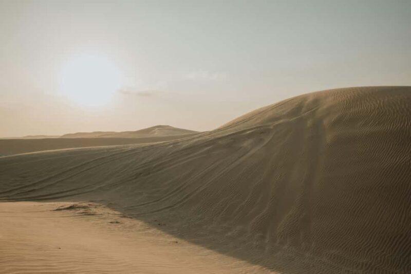 Doha: Full-Day Desert Safari with Lunch/Dinner, Camel Ride - The Itinerary Breakdown: A Day in the Desert