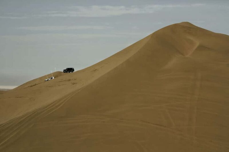 Doha: Full-Day Desert Safari with Lunch/Dinner, Camel Ride - Authenticity and Practical Tips