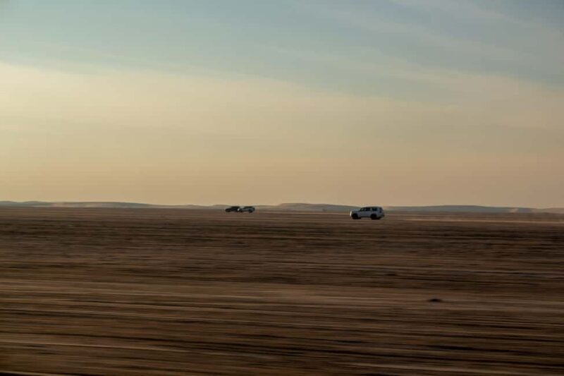 Doha: Full-Day Desert Safari with Lunch/Dinner, Camel Ride - Final Thoughts