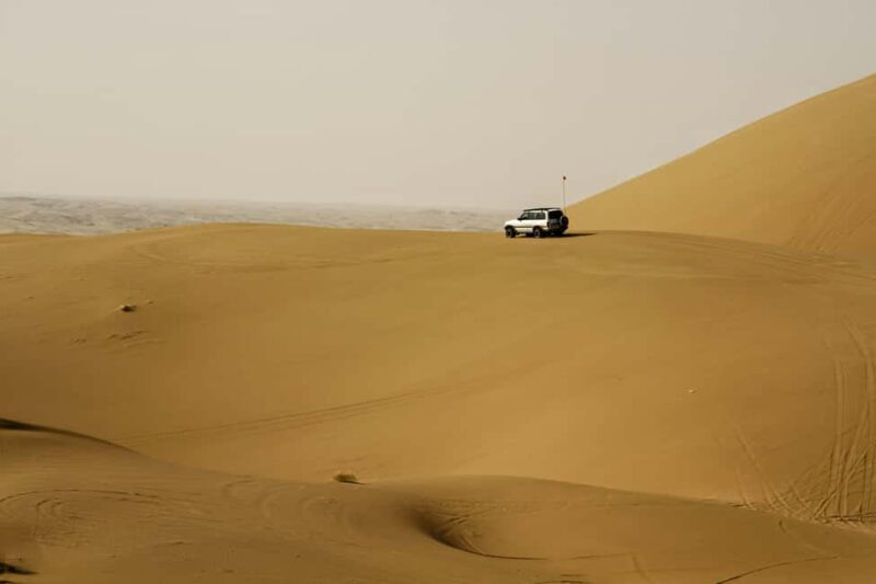Doha: Full-Day Desert Safari with Lunch/Dinner, Camel Ride - FAQ