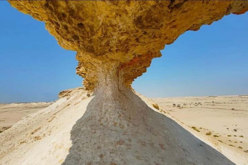 Doha: Full-Day North and West Tour with Forts and Qatari - Who Is This Tour Best For?