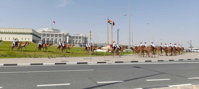 Doha Geocaching & City Tour Combo - The Sum Up