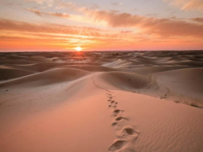 Doha: Golden Horizons: Desert Sunrises and Sunsets - What Travelers Say