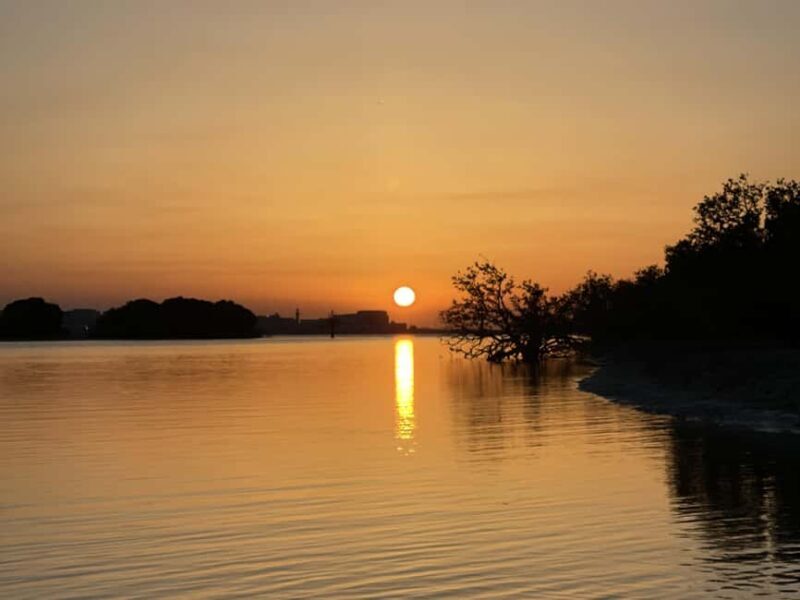 Doha: Golden Horizons: Desert Sunrises and Sunsets - The Sum Up: Who Will Love This Tour?