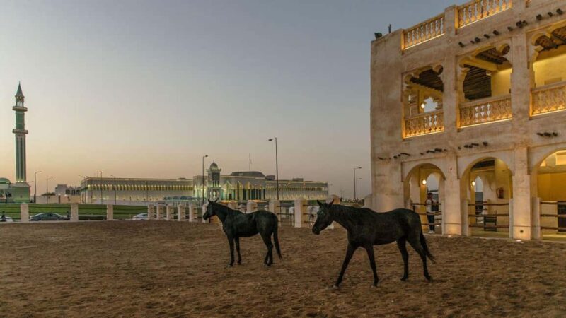 Doha Guided City Tour to Souq Waqif, Katara, & Pearl-Qatar - Final Thoughts
