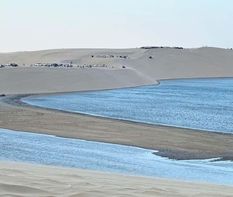Doha: Guided Desert Safari Tour with Pickup & Drop Service - Key Points