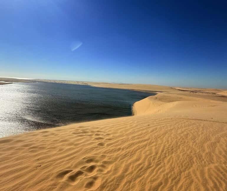 Doha: Guided Desert Safari Tour with Pickup & Drop Service - The Sum Up