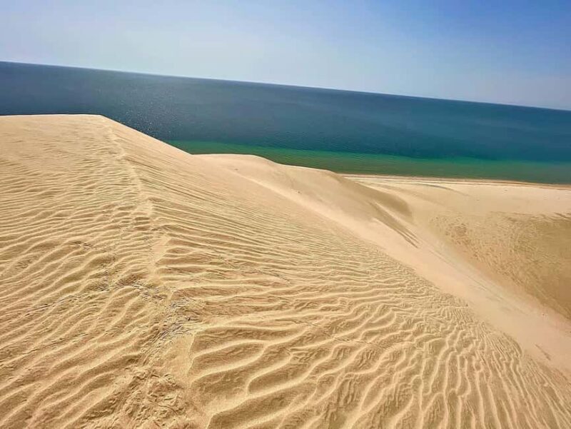 Doha: Half Day Desert Safari From Airport/Hotel/Cruise Port - Key Points