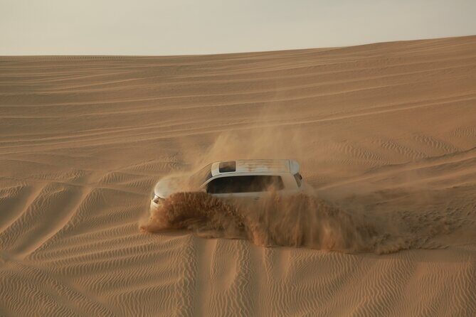 Doha: Half Day Desert Safari with Camel Ride and Inland Sea Tour - Value & Practicality