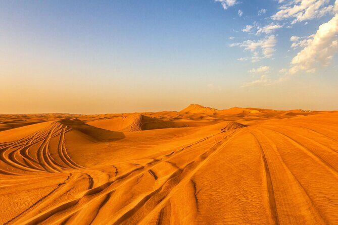 Doha Half Day Desert Safari with Camel Ride and Sand Boarding - Pricing and Value