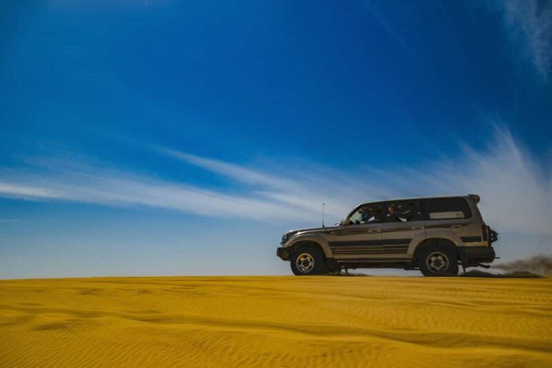 Doha: Half-Day Desert Safari with Camel Ride & Sandboarding - An Overview of the Experience