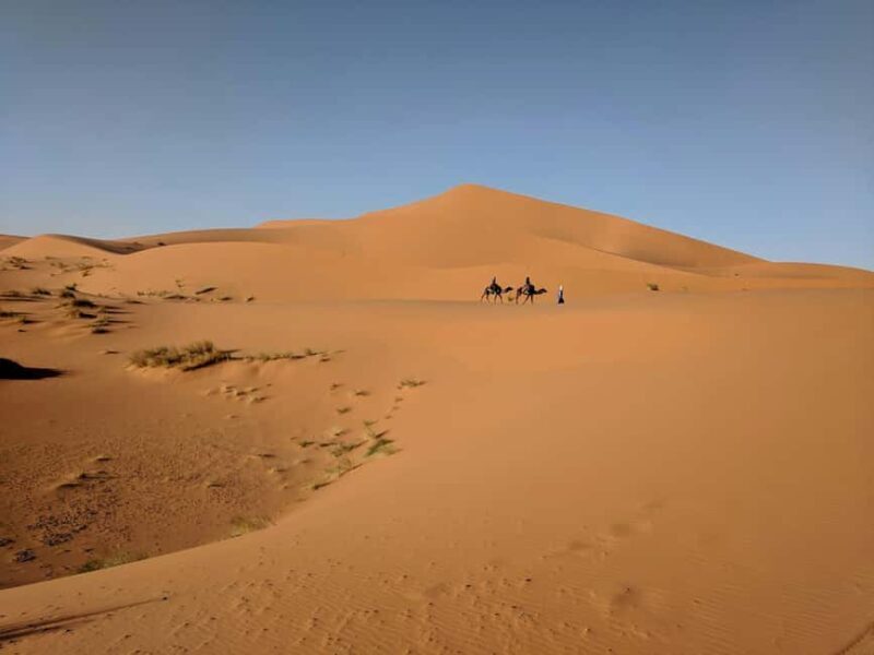 Doha: Half-Day Desert Safari with Camel Ride & Sandboarding - Who Will Love This Tour?