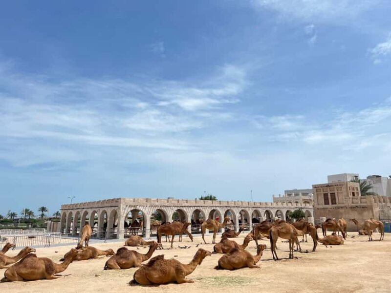 Doha Highlights Guided Tour With Dhow Cruise - What You Get and What You Don’t