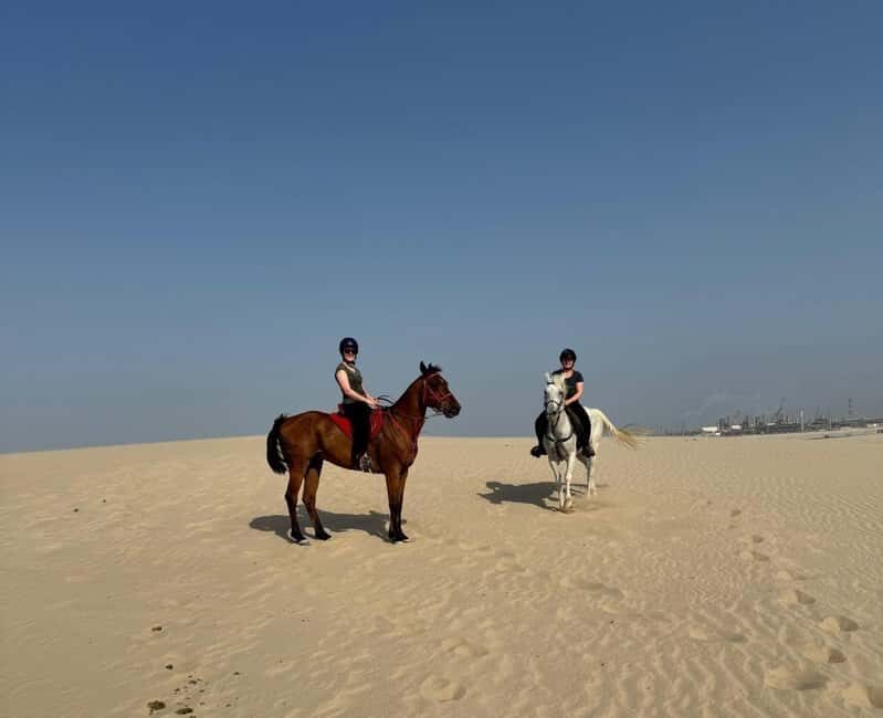 Doha Horseback Riding Adventure in Desert with Transfers - Authentic Experiences from the Reviews