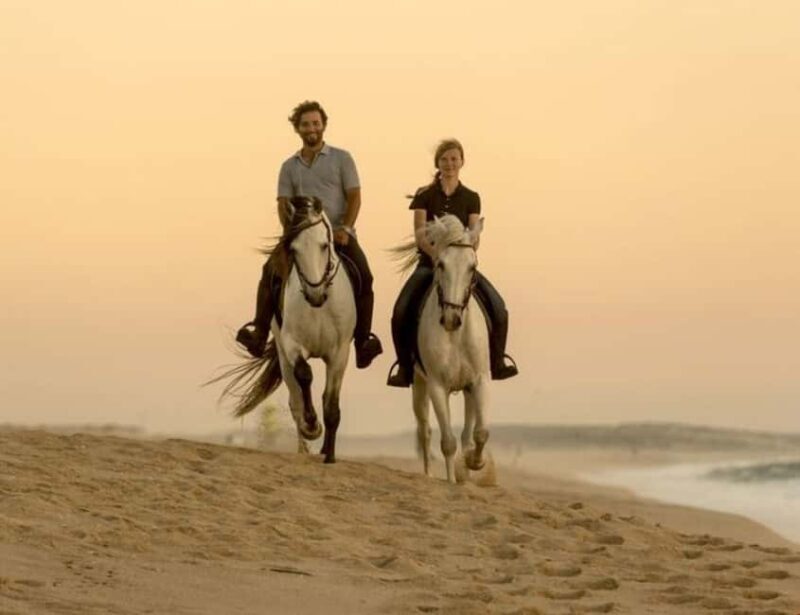 Doha Horseback Riding Adventure in Desert with Transfers - Who Will Enjoy This Tour?