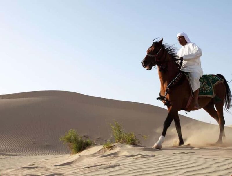 Doha Horseback Riding Adventure in Desert with Transfers - FAQ