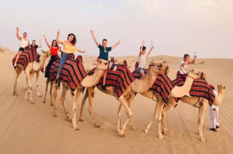 Doha: Inland Sea Tour, Desert Safari/Camel, All Activities - What to Expect From the Activities