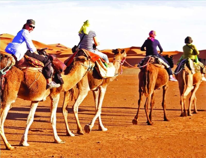 Doha: InlandSea Tour,Camel,Sand Boarding With All Activities - An Authentic Desert Adventure
